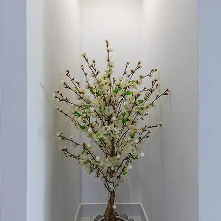 797 Rentals- Duplex 7 En La Carihuela A 1 Min De La Playa